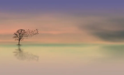 Albero spoglio su specchio d'acqua, uccellini in volo, senso di pace e tranquillità