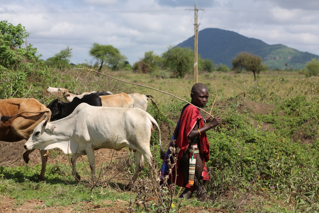 Vivere con i Masai della Tanzania: un racconto e un video imperdibili