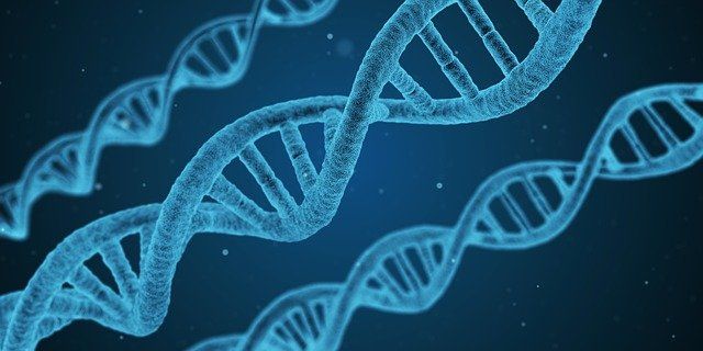 Nuove-tecniche-genomiche