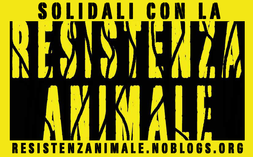 banner del blog Resistenza Animale