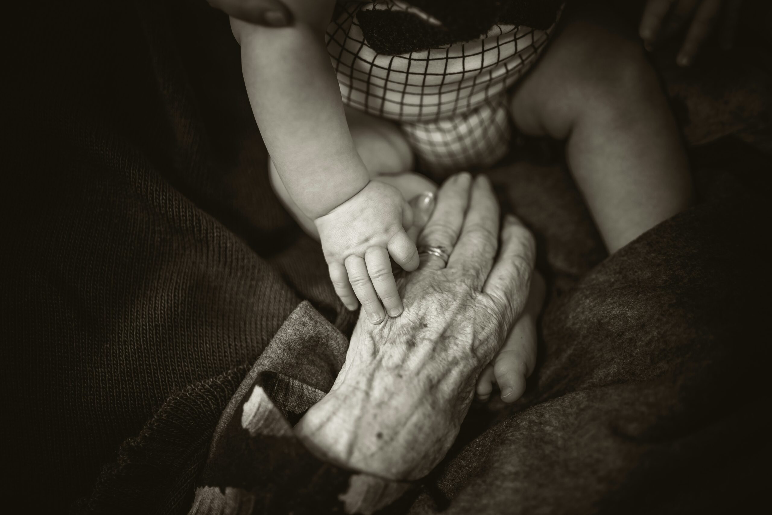Radici che ci abbracciano: i nonni tra affetto e identità